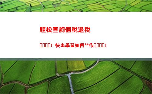 廣州個人所得稅查詢(廣州個人指標更新查詢)